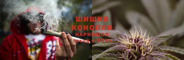прущие грибы Покров