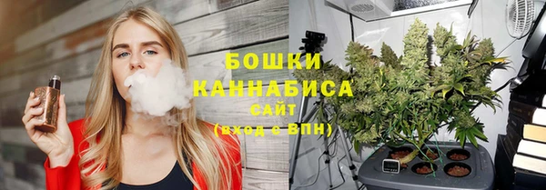 прущие грибы Покров